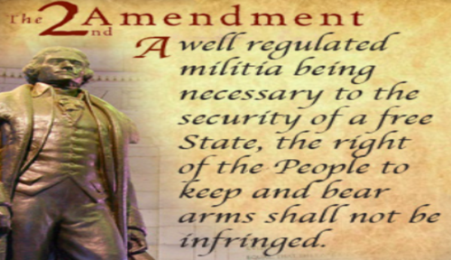 2nd_amendment_not_be_infringed.png