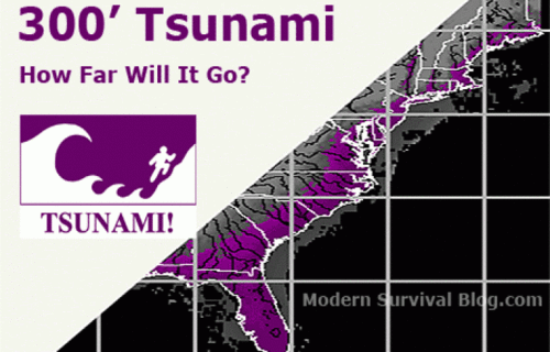 300s_tsunami.gif