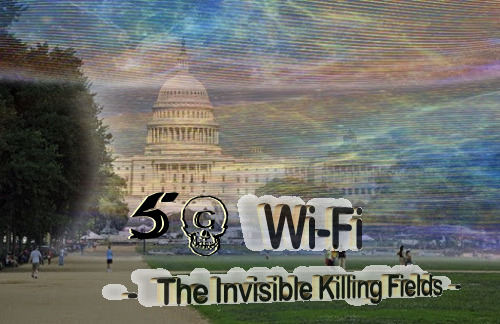 5g_invisible_killing_fields.jpg