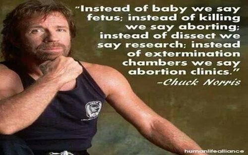 Chuck_Norris.jpg