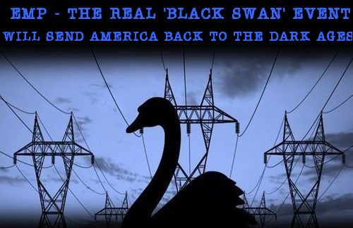 EMP_the_real_black_swan.jpg