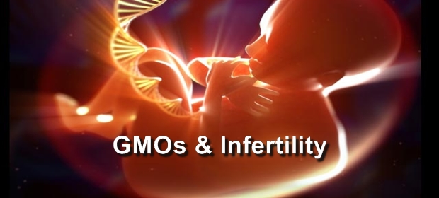 GMOs-and-infertility-1.jpg