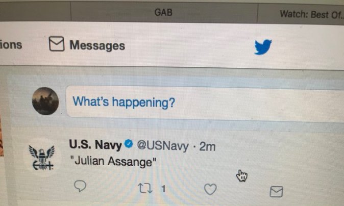 NavyTweetsAssange.jpg