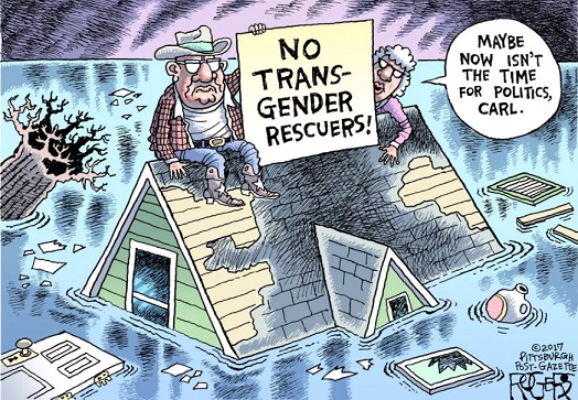 TexasCartoon1.jpg
