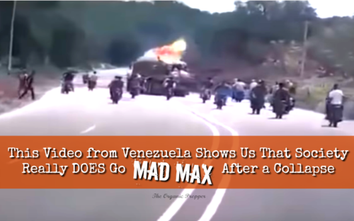 VZ_mad_max.png