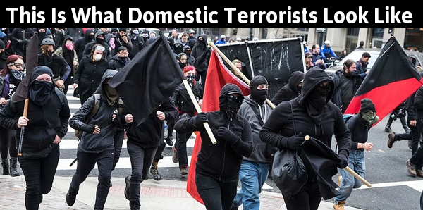 antifa_domestic_terrorists.png