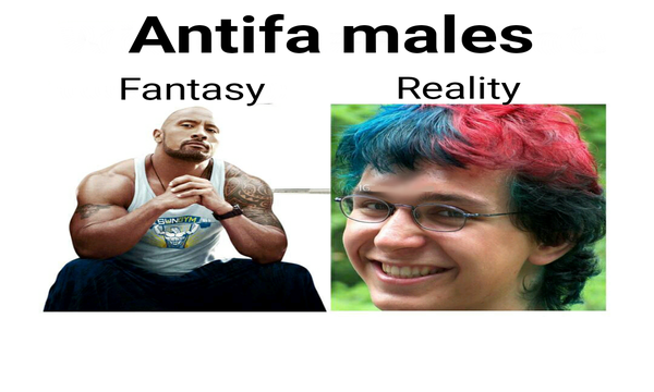 antifa_fantasy_v_reality.png