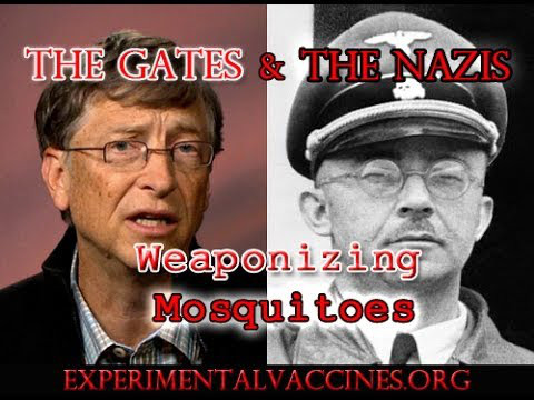 bill_gates_weaponizing_mosquitoes.jpeg