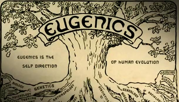 eugenics-tree.jpg