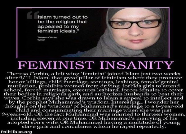 feminist_insanity.png