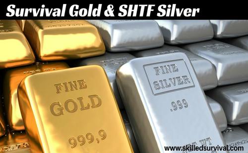 gold_and_silver_for_survival.jpg