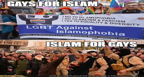 islam_hates_gays.png