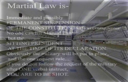 martial_law_in_america.jpg