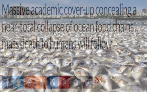 mass_fish_deaths_food_chain_collapse.png