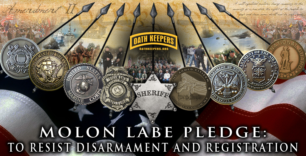 molon-labe-pledge-hdr1.jpg