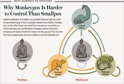 monkeypox_smallpox.jpg