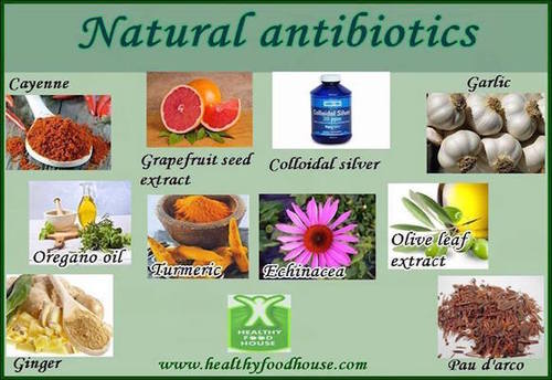 natural_antibiotics.jpg