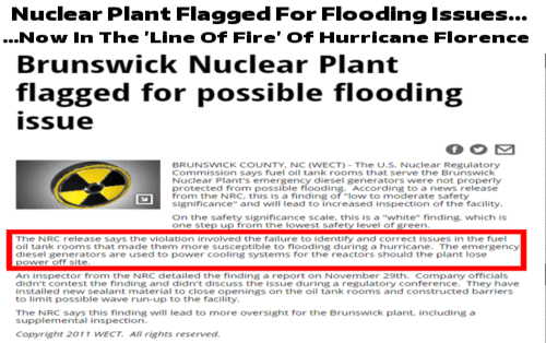 nuke_plant_flood.gif