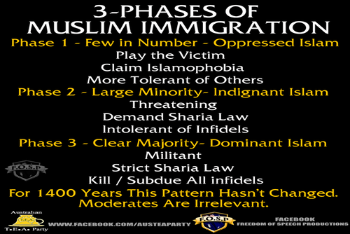 phases_of_muslim_immigration.png