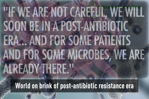 post_antibiotic_world.jpg
