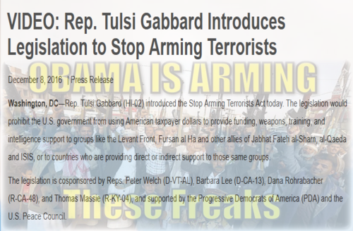 stop_arming_terrorist_obama_you_freak.png