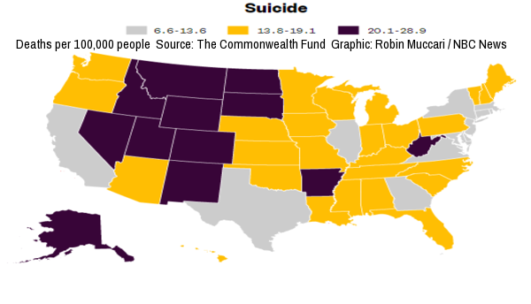 suicide_rates_in_America.png