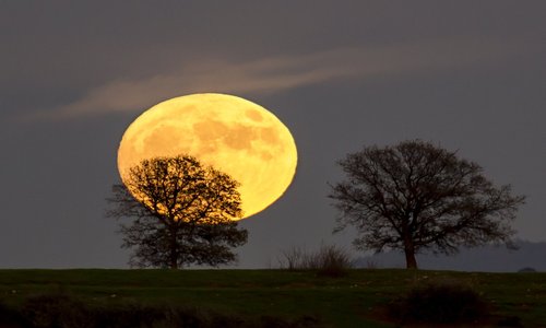 supermoon_nov_13.jpg