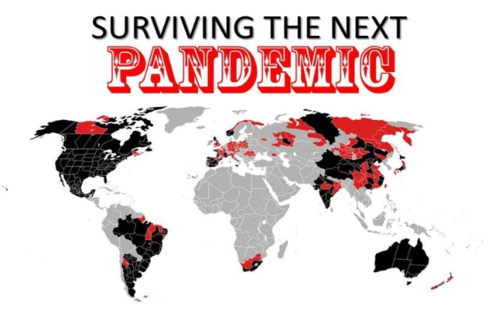survive_pandemic.png