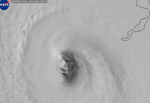 the_face_of_Irma.png