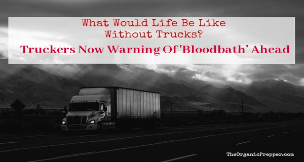 truckers_bloodbath_ahead.jpg