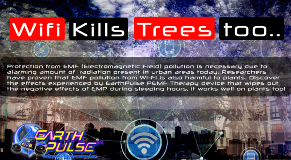 wifi_kills_trees.png