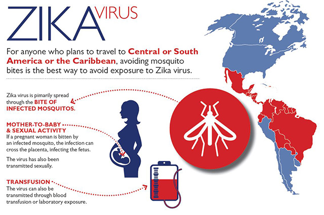 zika-flyer-snippet.JPG