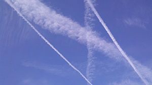 300px-Chemtrail_X.jpg