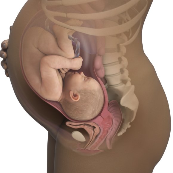 Baby40weeks.jpg