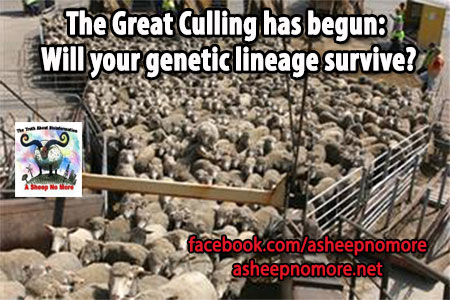 CULLING-GREAT-CULLING-BEGUN-WILL-YOUR-GENETIC-LINEAGE-SURVIVE-NATURALNEWS-8-10-13.jpg