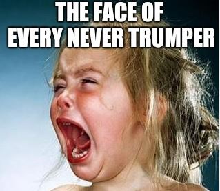 FACENEVERTRUMPERSCREAM.JPG