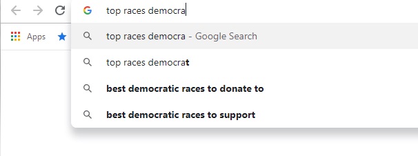 GoogleRacesDemssuggest.jpg