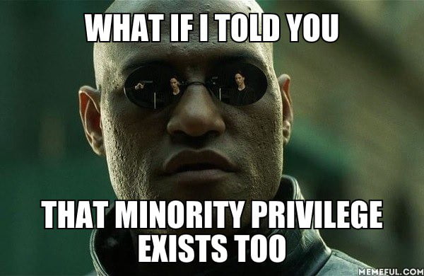 MinorityPrivilege234.jpg