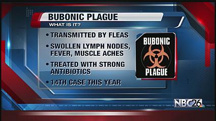 Plague14ththisyear.jpg