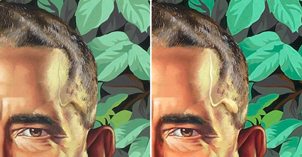 Obama Portrait The Serpent In The Garden Strange Hidden Occult