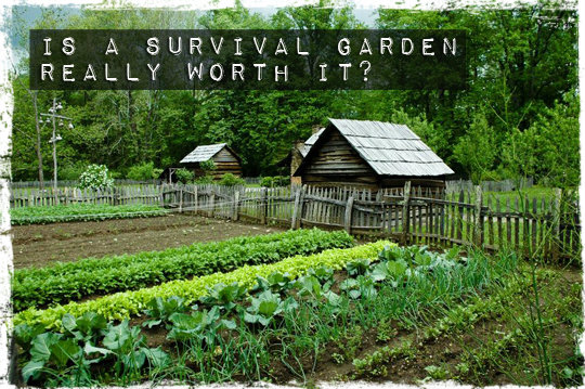 Survival-Garden.jpg