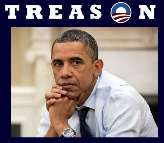 TraitorObamaSign1.jpg