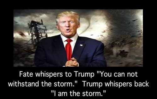 Trump_is_the_storm.jpg