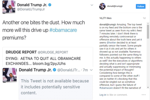 Trump_jr_censored.png