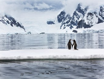 antarctic_love.jpg