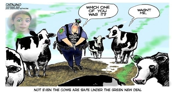 aoc_cows.jpg