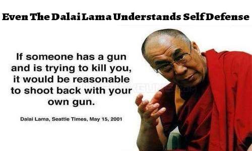 dalai_lama_self_defense.jpg