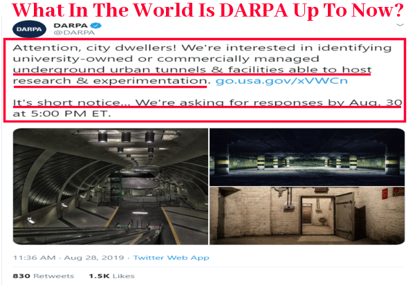 darpa_tweet.gif