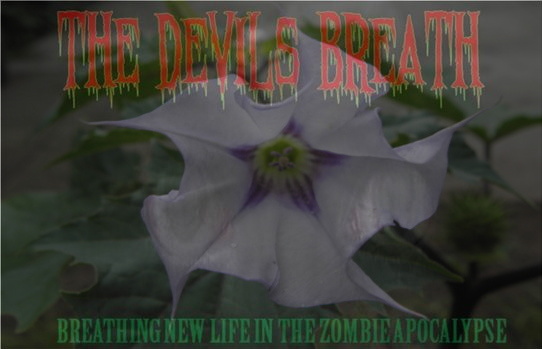 devils_breath_zombies.jpeg