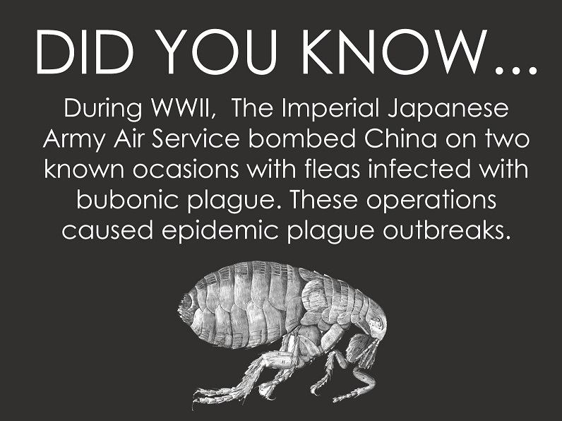 didyouknow4.jpg